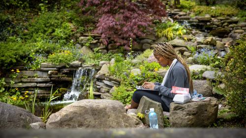 woman working on laptop in front of small waterfall